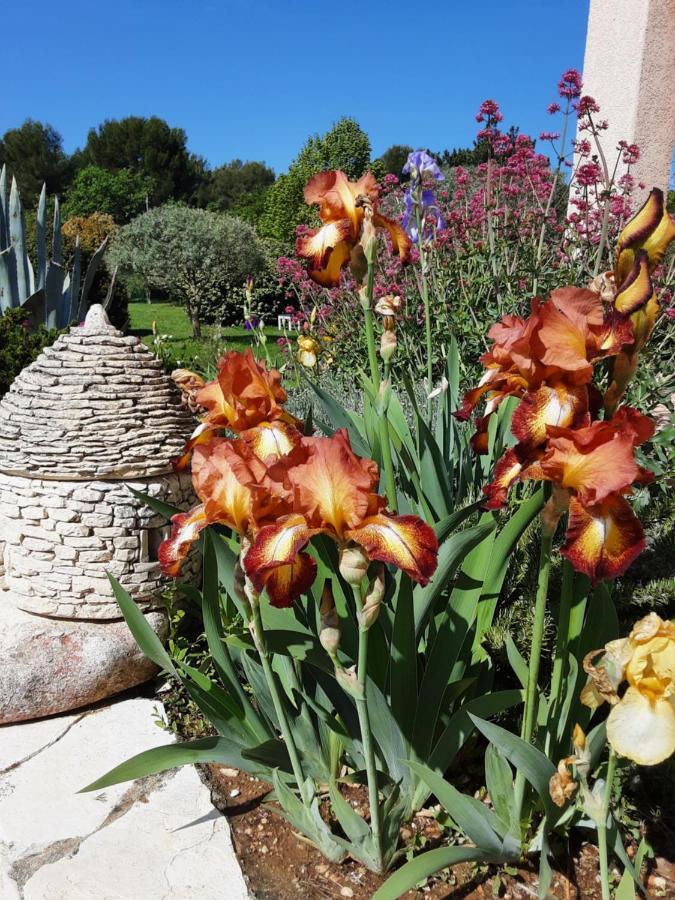 L'Eolyre Bed & Breakfast La Motte-d'Aigues Exterior foto